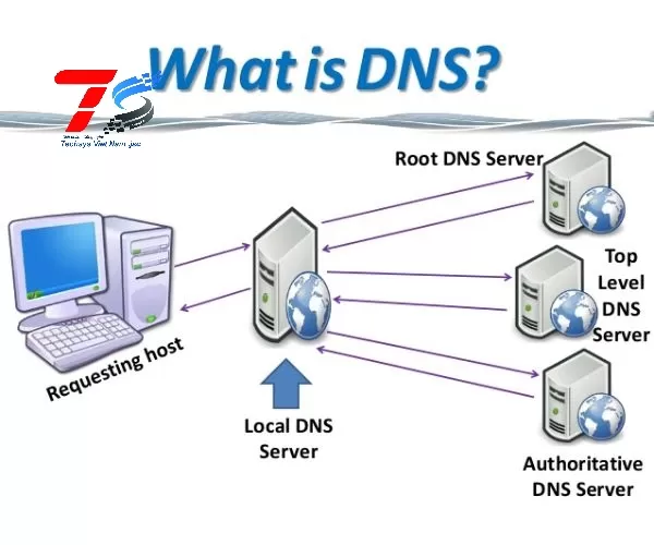 Máy chủ DNS